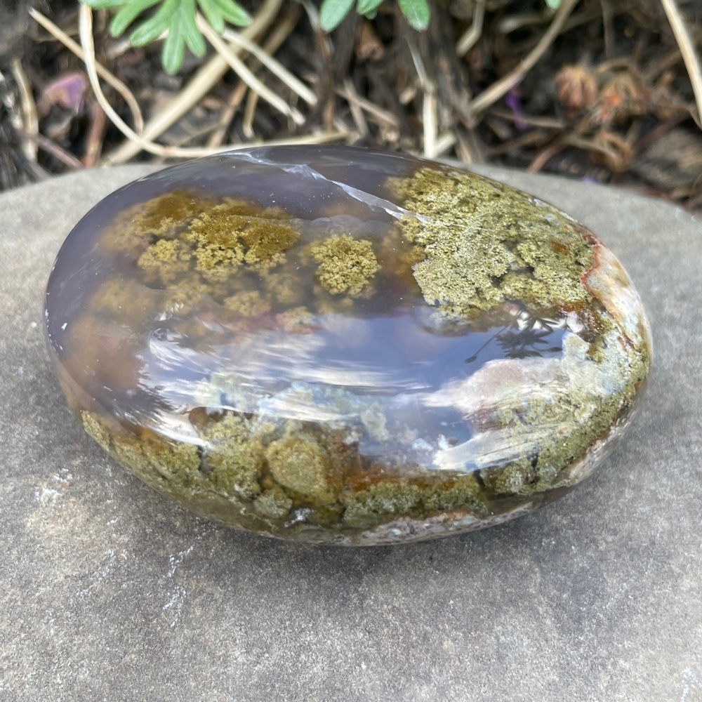 Polished Scenic Moss Agate Palm Stone